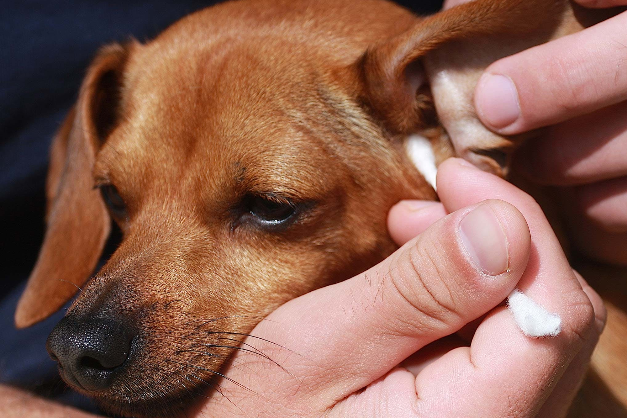 ear-cleaning