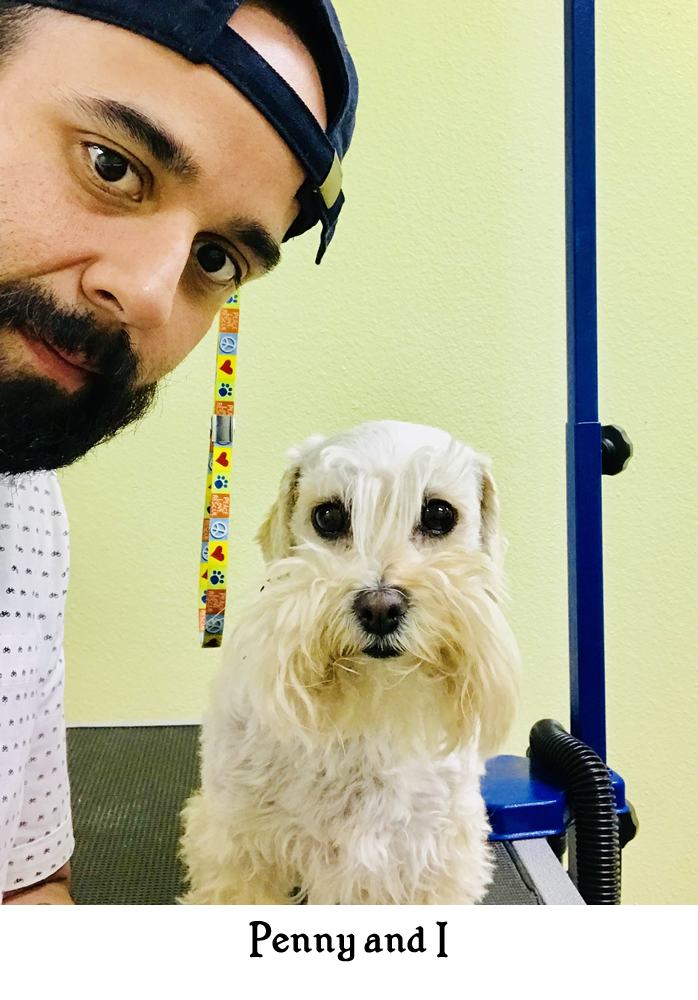 About Penny Lucky s Dog Groomer Lucky Penny s Dog Groomer in