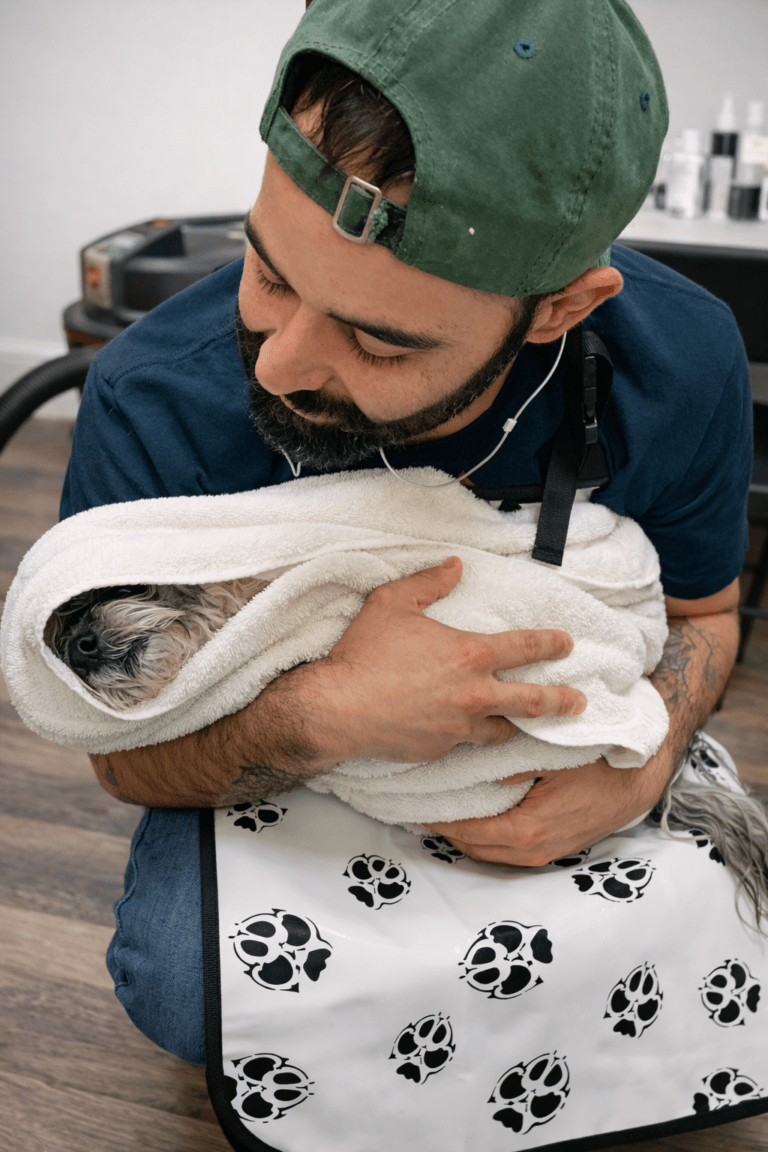 Best Dog Shampoo for Itchy Skin: Why the Cause Matters More Than the Bottle